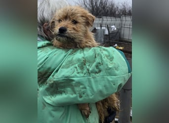 Betty - freundlich und neugierig