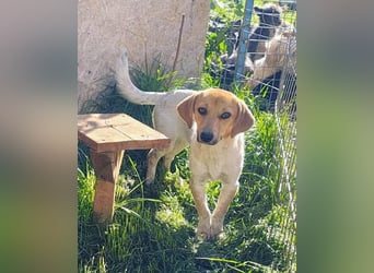 Vanja - neugierig und interessiert