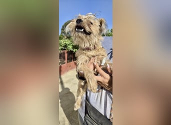 Lupita, neugierig. verspielt, offen, freundlich