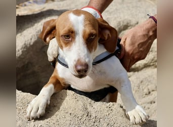 Lola - verschmust, neugierig und freundlich