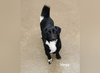 Venja – braucht emphatische Menschen