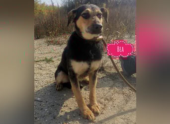 Bea ein Engel mit gebrochener Seele