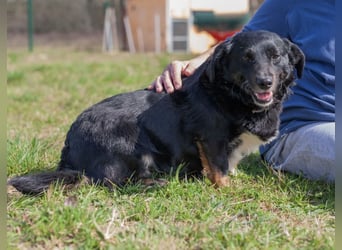 Karlo braucht erfahrene Menschen
