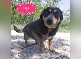 Lara braucht dringend Liebe