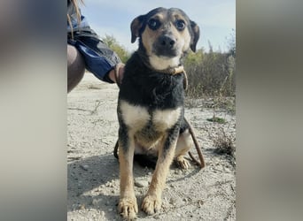 Bea ein Engel mit gebrochener Seele