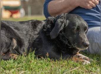 Karlo braucht erfahrene Menschen
