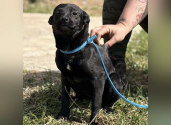 Nirvana möchte ein Zuhause