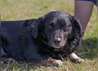 Karlo braucht erfahrene Menschen