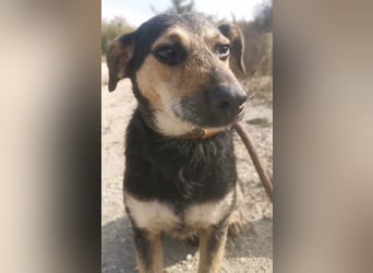 Bea ein Engel mit gebrochener Seele