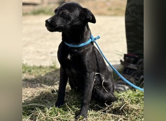 Nirvana möchte ein Zuhause