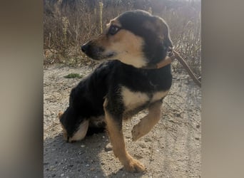 Bea ein Engel mit gebrochener Seele