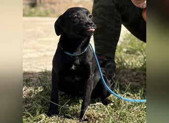 Nirvana möchte ein Zuhause