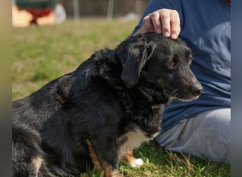 Karlo braucht erfahrene Menschen