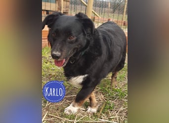 Karlo braucht erfahrene Menschen