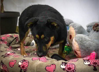 Kleine, schüchterne Rica sucht liebe Menschen