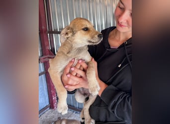 Riley ist unser Schmusekönig