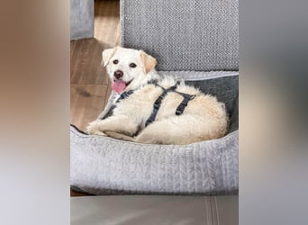 Blanca ist eine kleine Kuschelmaus zum Verlieben