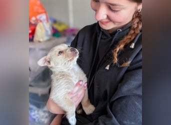 Penny ist eine kleine Herzensbrecherin