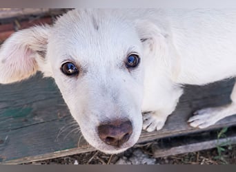 15 W wurde einfach vor dem Shelter ausgesetzt