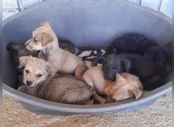 30W ist eine kleine Knutschkugel
