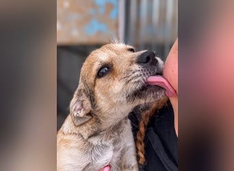 Riley ist unser Schmusekönig