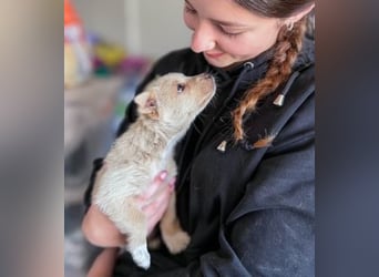 Penny ist eine kleine Herzensbrecherin