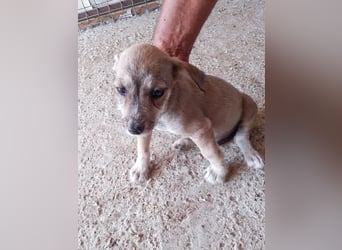 30W ist eine kleine Knutschkugel