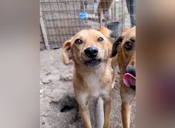 Sverre ist ein sanfter Bub