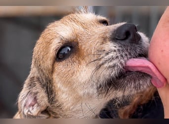 Riley ist unser Schmusekönig