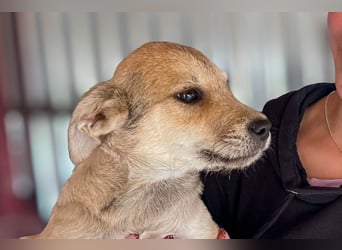 Riley ist unser Schmusekönig