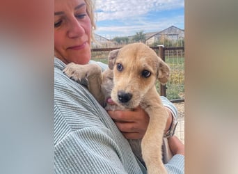 Riley ist unser Schmusekönig