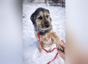 Belle hat großes Herz zu Verschenken