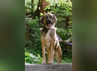 Aksi möchte ihre ganze Liebe zeigen