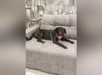 Freundlicher Justin liebt das Leben