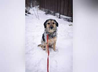 Belle hat großes Herz zu Verschenken