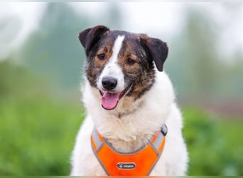 Ruhige Emma sucht zuhause