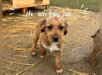 Meine Geschwister dürfen ausreisen - Jix möchte nicht alleine zurückbleiben!