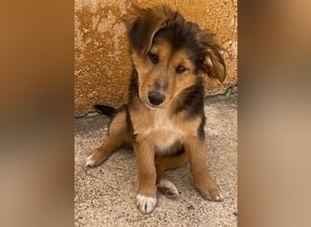 Zauberhafte ATHENA sucht tolle Familie