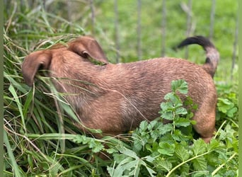 Athena - kleine Entdeckerin auf der Suche nach Ihrem Zuhause