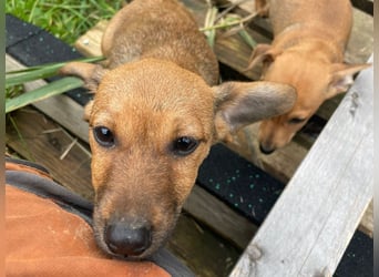 Athena - kleine Entdeckerin auf der Suche nach Ihrem Zuhause