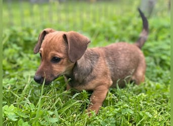 Athena - kleine Entdeckerin auf der Suche nach Ihrem Zuhause