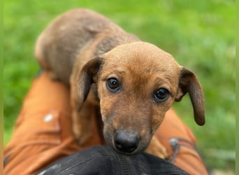 Athena - kleine Entdeckerin auf der Suche nach Ihrem Zuhause