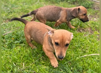 Athena - kleine Entdeckerin auf der Suche nach Ihrem Zuhause