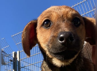 Athena - kleine Entdeckerin auf der Suche nach Ihrem Zuhause