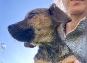 Athena - kleine Entdeckerin auf der Suche nach Ihrem Zuhause