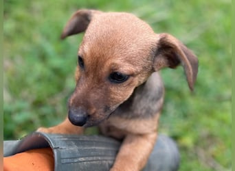 Athena - kleine Entdeckerin auf der Suche nach Ihrem Zuhause