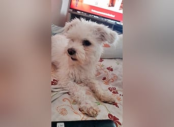 Timmy, freundlich und lieb