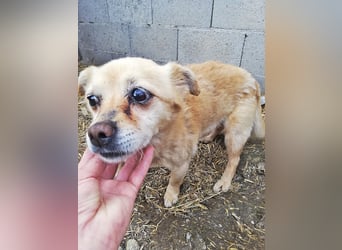 Luky sucht ein Gnadenplätzchen