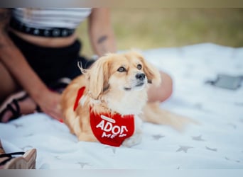 Elenora - sanft & sensibel