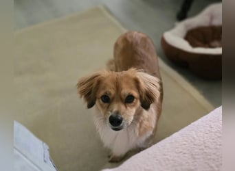 Elenora - sanft & sensibel